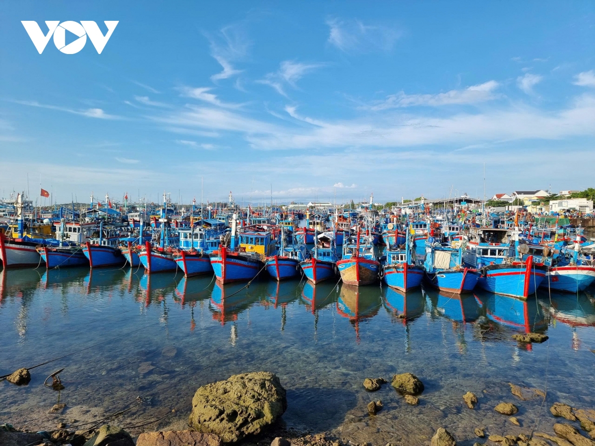 Ra khơi đúng luật, cập bến đủ sổ, Khánh Hòa quyết liệt gỡ “thẻ vàng” EC